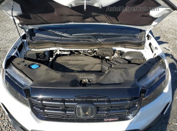 5FPYK3F12RB010095 2024 HONDA RIDGELINE White Widok wnętrza z tyłu