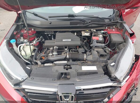 5J6RW2H55MA009482 2021 HONDA CR-V Red Հետևի տեսք