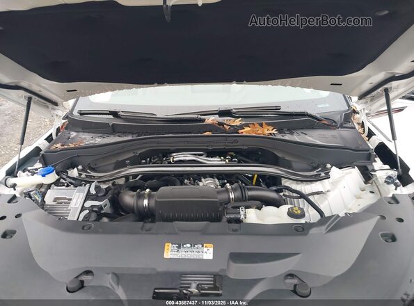 5LM5J6XC2NGL19168 2022 LINCOLN AVIATOR White Widok z tyłu