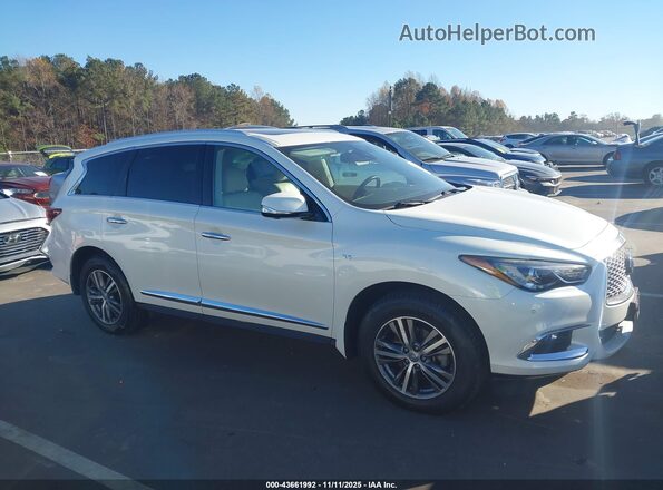 5N1DL0MM9LC514059 2020 INFINITI QX60 White უკანა სალონის ხედი