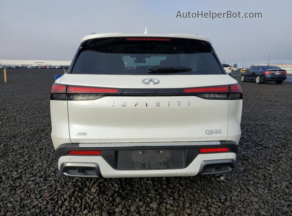 5N1DL1GS6PC363848 2023 INFINITI QX60 Белый Вид сзади