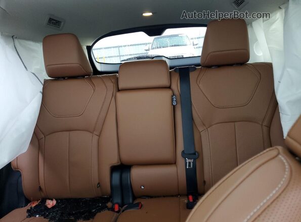 5N1DL1GS6PC363848 2023 INFINITI QX60 Белый Вид задних сидений