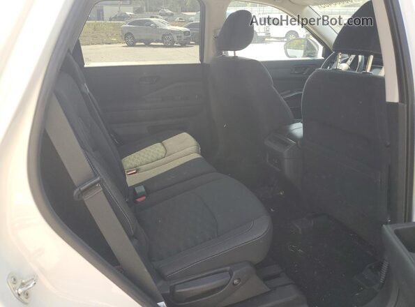 5N1DR3AC9RC295205 2024 NISSAN PATHFINDER Белый Вид задних сидений