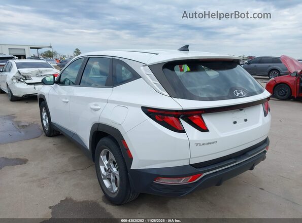 5NMJA3AE0NH094580 2022 HYUNDAI TUCSON Белый Задняя левая четверть