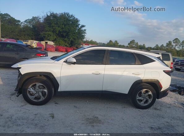 5NMJB3AE5NH038941 2022 HYUNDAI TUCSON Белый 