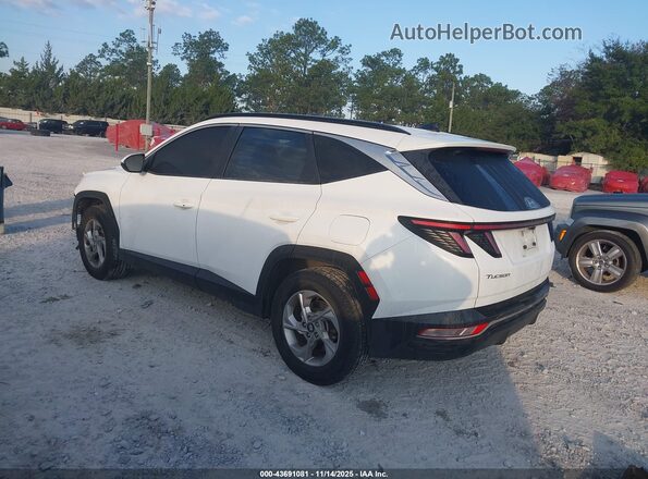 5NMJB3AE5NH038941 2022 HYUNDAI TUCSON Белый Задняя левая четверть