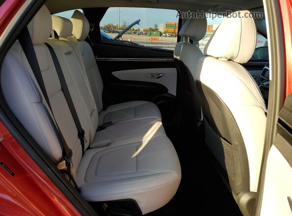 5NMJF3AE1PH244815 2023 HYUNDAI TUCSON Red Вид задніх сидінь