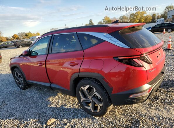 5NMJF3AE1PH244815 2023 HYUNDAI TUCSON Red Задня ліва чверть