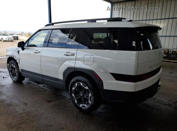 5NMP24GL1SH087538 2025 HYUNDAI SANTA White 