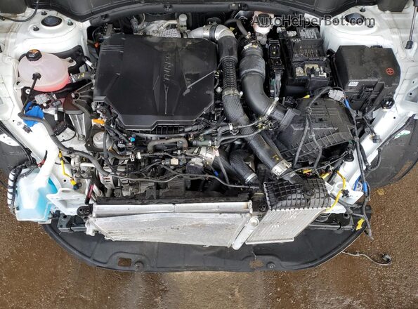 5NMP24GL1SH087538 2025 HYUNDAI SANTA White 