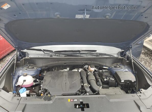 5NMP24GL1SH119694 2025 HYUNDAI SANTA Blue Widok komory silnika