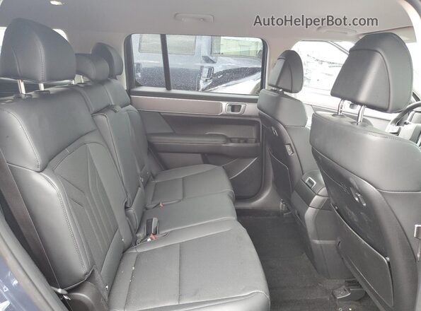 5NMP24GL1SH119694 2025 HYUNDAI SANTA Blue Widok wnętrza z tyłu