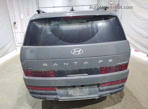 5NMP2DG16SH019928 2025 HYUNDAI SANTA Gray Vista trasera