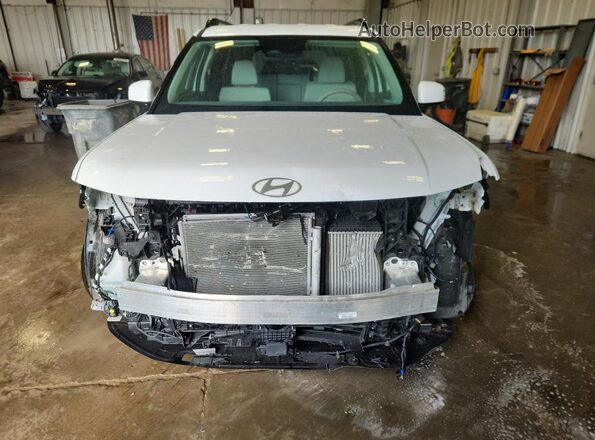 5NMP2DGL5RH006955 2024 HYUNDAI SANTA White Widok z przodu