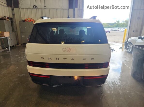 5NMP2DGL5RH006955 2024 HYUNDAI SANTA White Widok z tyłu