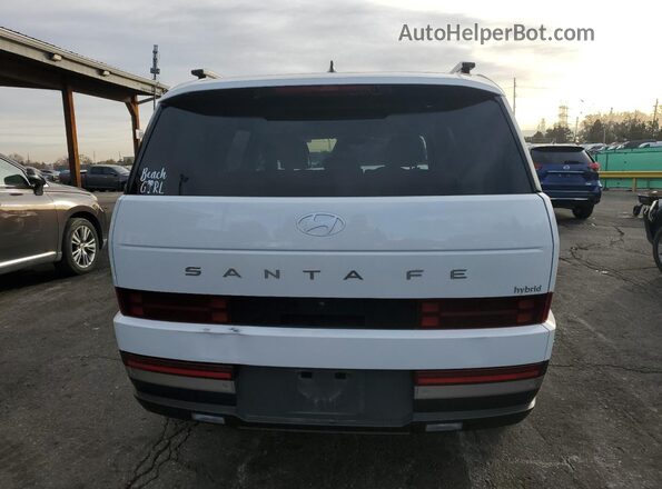 5NMP34G12SH017963 2025 HYUNDAI SANTA White Widok z tyłu