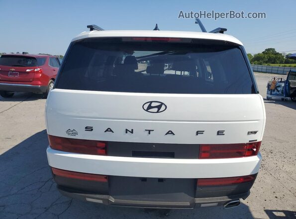 5NMP3DGL5SH131716 2025 HYUNDAI SANTA Белый Вид сзади