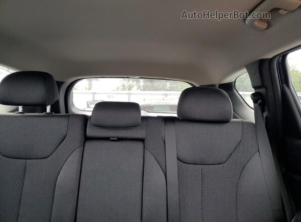 5NMS14AJ3MH335196 2021 HYUNDAI SANTA Blue Rear seats view