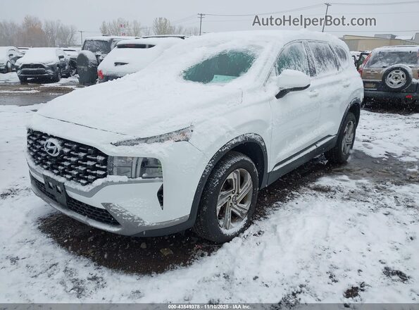 5NMS1DAJ0MH323703 2021 HYUNDAI SANTA FE Белый Передняя левая четверть