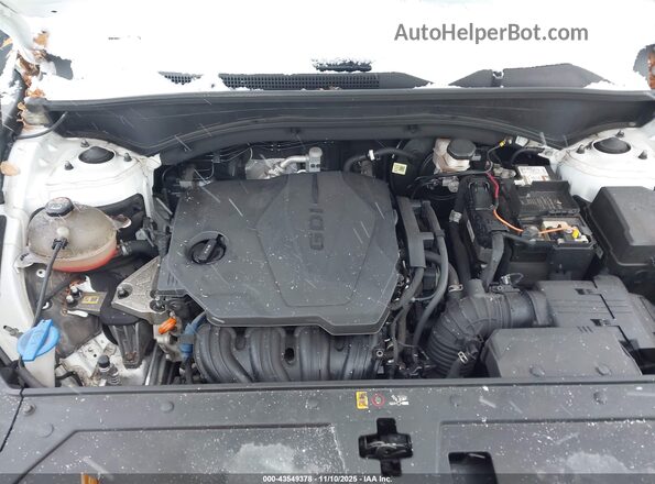 5NMS1DAJ0MH323703 2021 HYUNDAI SANTA FE Белый Вид сзади