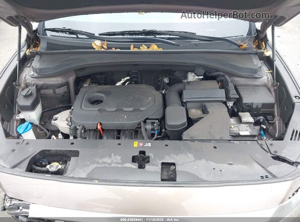 5NMS2CAD2LH182441 2020 HYUNDAI SANTA FE Brown Widok z tyłu