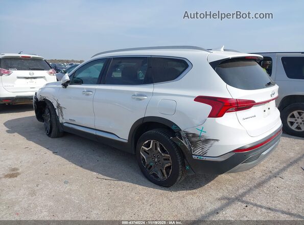 5NMS3DA17PH022229 2023 HYUNDAI SANTA FE HYBRID White უკანა მარცხენა