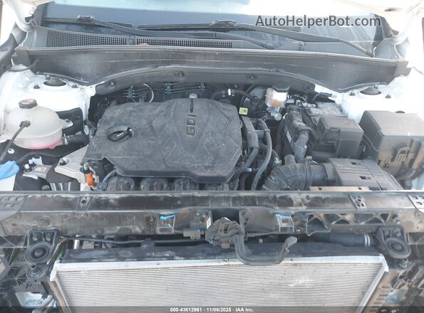 5NMS3DAJ0PH536004 2023 HYUNDAI SANTA FE White Widok z tyłu