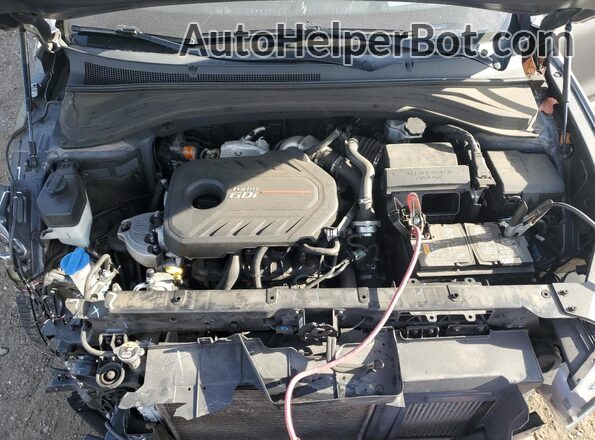 5NMS53AAXLH177002 2020 HYUNDAI SANTA Gray Widok komory silnika
