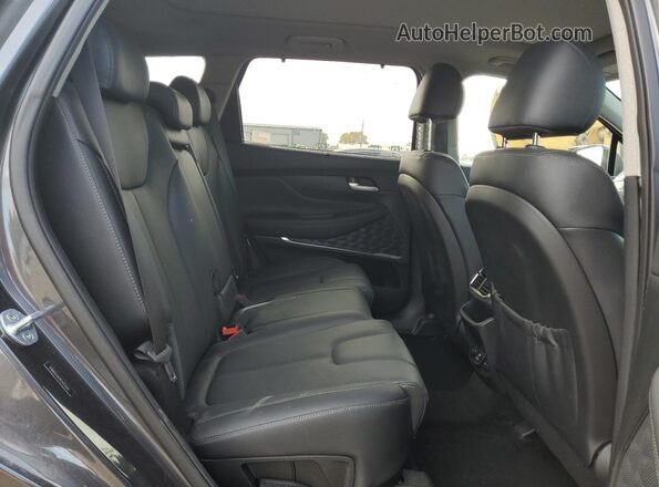 5NMS53AD4LH223661 2020 HYUNDAI SANTA Серый Вид задней части салона