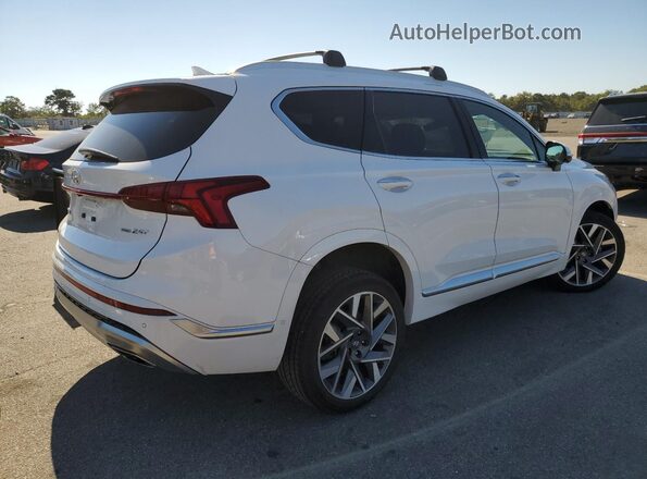 5NMS5DAL6PH520255 2023 HYUNDAI SANTA FE CALLIGRAPHY White Tył prawy