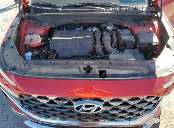 5NMS5DAL9PH570325 2023 HYUNDAI SANTA FE CALLIGRAPHY Red Սալոնի հետևի տեսք