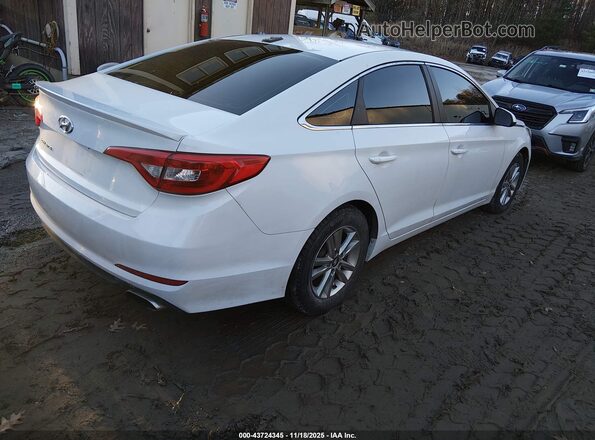 5NPE24AF6GH314985 2016 HYUNDAI SONATA White Հետևի աջ