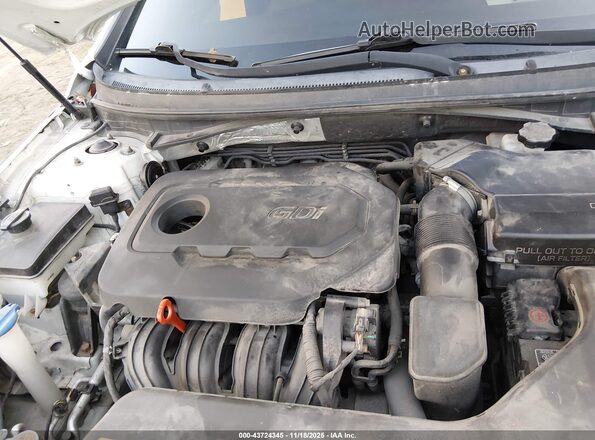 5NPE24AF6GH314985 2016 HYUNDAI SONATA White Հետևի տեսք