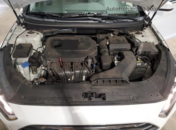 5NPE24AF6KH820146 2019 HYUNDAI SONATA White უკანა სალონის ხედი