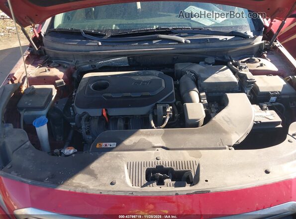 5NPE24AFXHH514723 2017 HYUNDAI SONATA Red Widok z tyłu