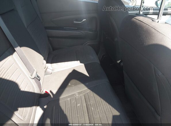 5NTJC4AE8RH094658 2024 HYUNDAI SANTA CRUZ Green VIN კოდის სტიკერის ხედი
