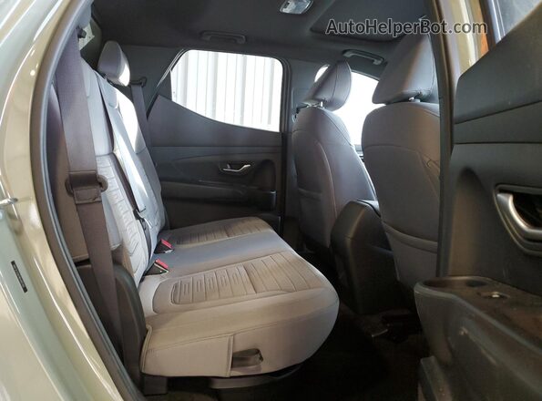5NTJCDAE9RH097102 2024 HYUNDAI SANTA Green Rear seats view