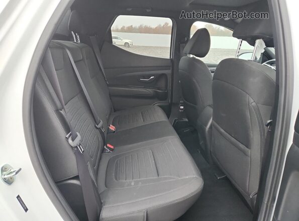 5NTJCDAEXNH027702 2022 HYUNDAI SANTA White Widok tylnych siedzeń