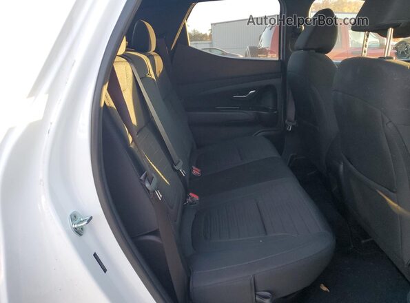 5NTJDDAF6NH030229 2022 HYUNDAI SANTA Белый Вид задней части салона