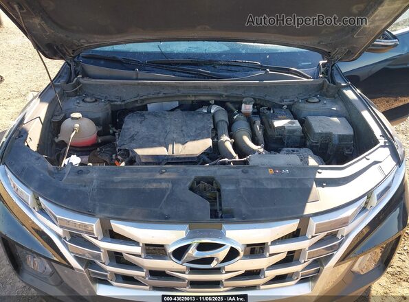 5NTJDDAF6PH059801 2023 HYUNDAI SANTA CRUZ Черный Вид сзади
