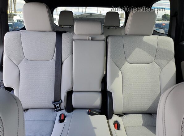 5TDAAAA62SS014346 2025 LEXUS TX Blue Rear seats view