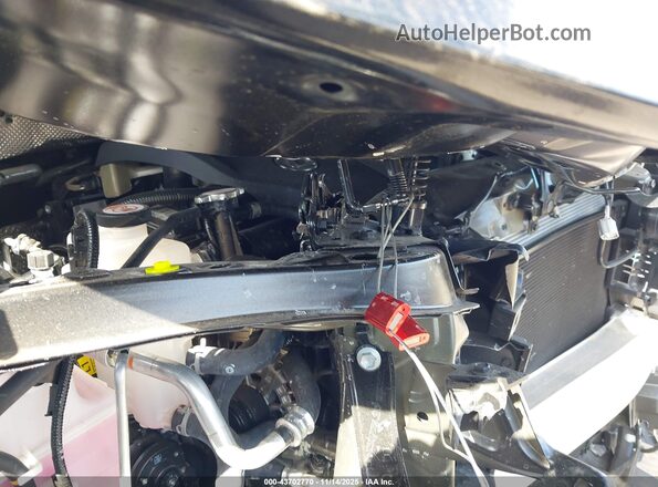5TDAAAA62SS016064 2025 LEXUS TX 350 Gray Rear view