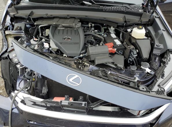 5TDAAAB60SS037848 2025 LEXUS TX Blue Вид підкапотного простору