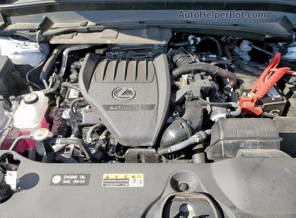 5TDAAAB65SS025646 2025 LEXUS TX White Widok komory silnika