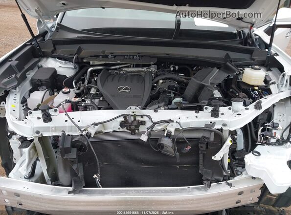 5TDAAAB65SS037618 2025 LEXUS TX 350 Белый Вид сзади