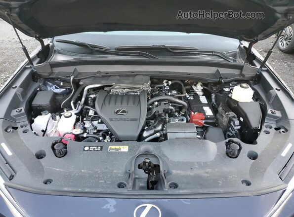 5TDAAAB66SS027972 2025 LEXUS TX Blue Widok komory silnika