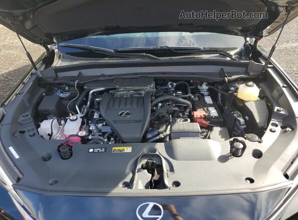 5TDAAAB66SS048112 2025 LEXUS TX Black Շարժիչի բաժամունքի տեսք