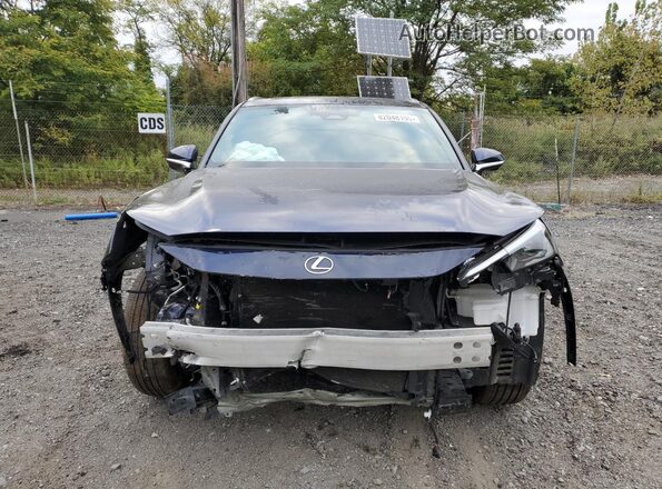 5TDAAAB69SS024418 2025 LEXUS TX Blue Vista frontal