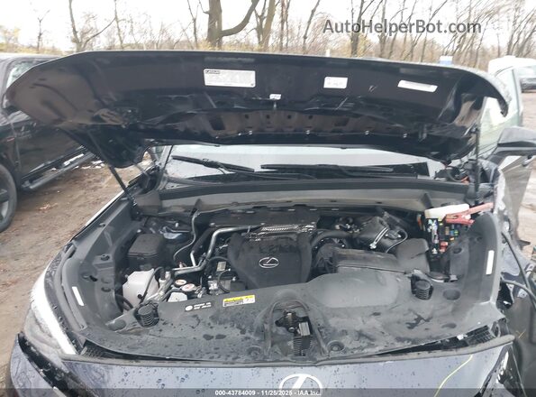 5TDABAB69RS007285 2024 LEXUS TX 500H Dark Blue Rear view