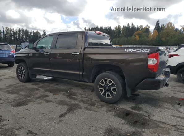 5TFAY5F10MX970227 2021 TOYOTA TUNDRA Brown Задня ліва чверть